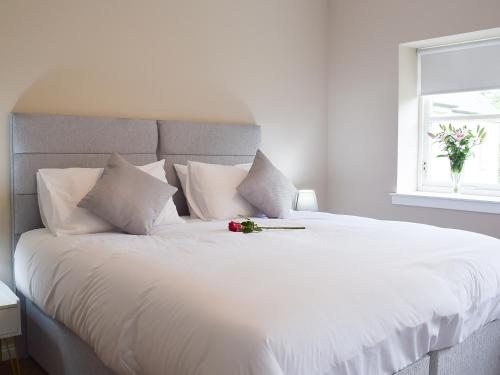 A szálláshely kívülről, Faodail-Uk34218 in Aberfoyle