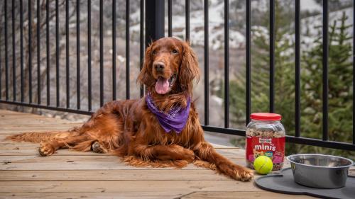 Lazy Bear – Breckenridge, CO