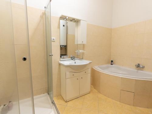 Budget Apartment in Prague's Best Local Area, Praha (fotografie 7)