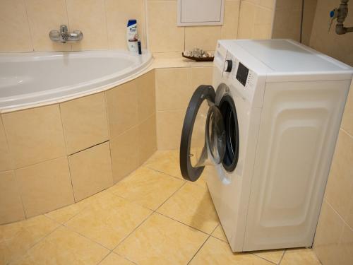 Budget Apartment in Prague's Best Local Area, Praha (fotografie 8)