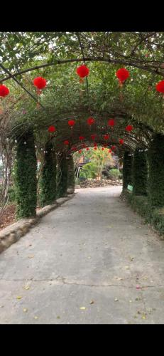 Homestay Nha Cua Mi (Nghia Lo, Yen Bai) - 출입구