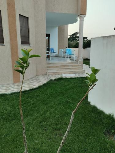 Jardín, Agréable (Agreable) in Ezzahra (Bin `Arus)