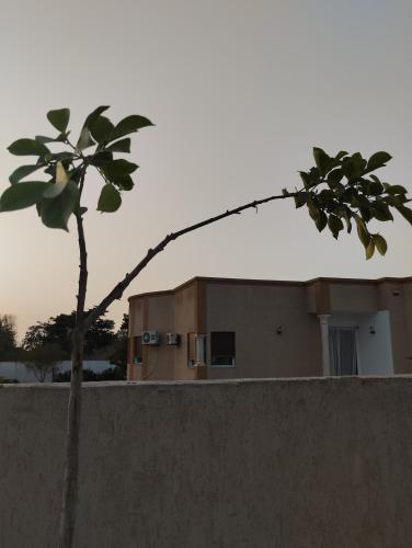 Agréable (Agreable) in Ezzahra (Bin `Arus)