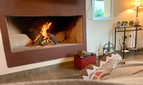 Casa Amplia en la Paz de la sierras de Cordoba in Villa Serranita