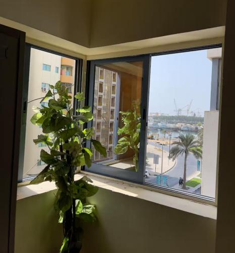Apartment near bus station & market MEN only - Sharjah Apartment near bus station & market MEN only - Sharjah