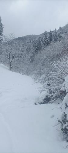 Будиночок у лісі - Бовцар in Kolochava