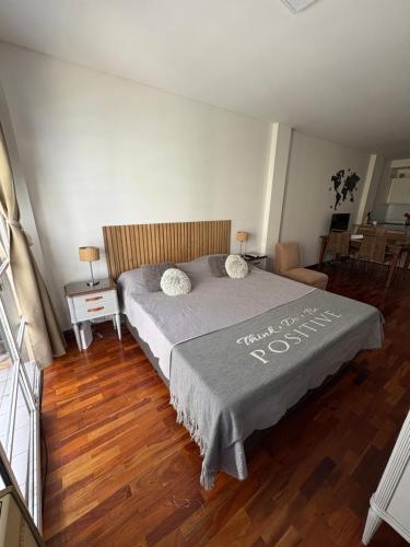 Hermoso departamento en Palermo Chico!