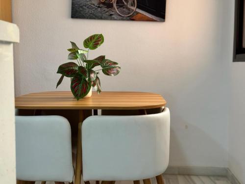 Apartamento María La Judía, Córdoba (fotografie 11)