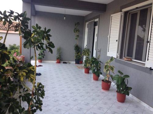 陽台/露台, Guesthouse Anila in 迪夫亞卡