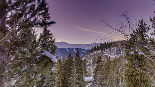 Twin Eagles Lodge in Breckenridge, USA