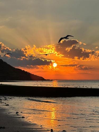 Le Villers - Location saisonnière - Villers-sur-Mer