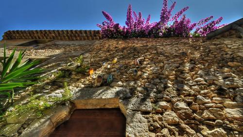 Charming apartment - Saint Paul de Vence - Location saisonnière - Saint-Paul-de-Vence