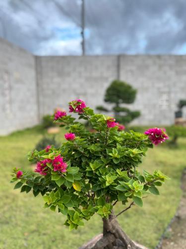 Mộc home garden