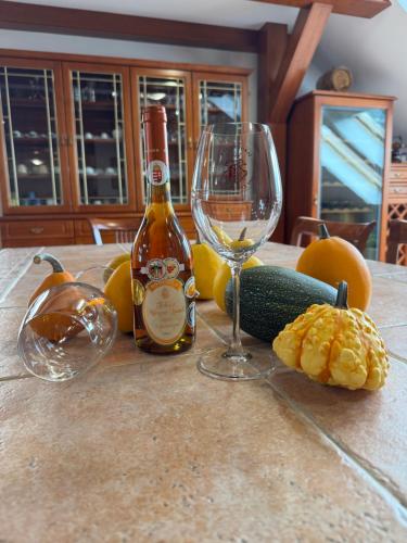 Pannon Tokaj Vendégház (Pannon Tokaj Vendeghaz) in Tolksva
