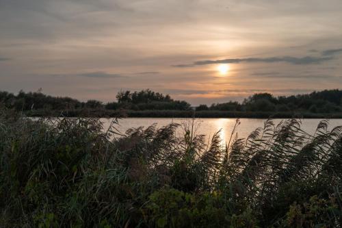 Welkom in mijn Studio bij het Snekermeer ! in Offingawier