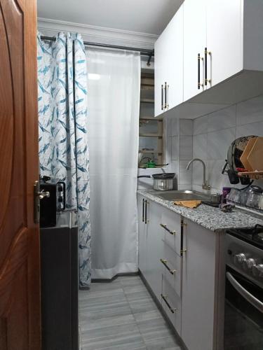 keuken, Qara Homes One Bedroom, Juja in Ruiru
