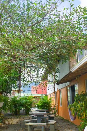 Alpha Arenal Hostel in La Fortuna
