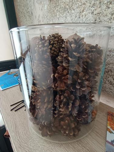 Apartamentos Gabín (Apartamentos Gabin) in Montederramo