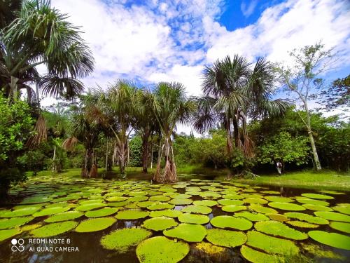 Jacamar Lodge Expeditions - Yucuruche Jacamar Lodge Expeditions - Yucuruche