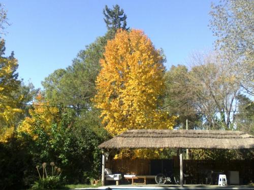 Sol y Sombra