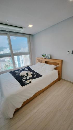 . Central H apartment Grande