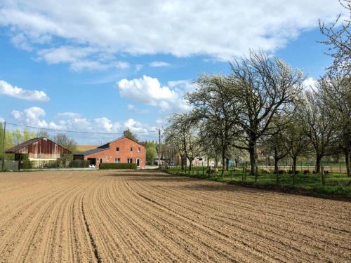 Ümbrus, Apartment with a view of alpacas in Heers