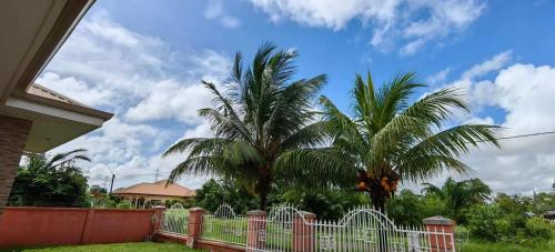 夏日风情, Paramaribo (foto 3)