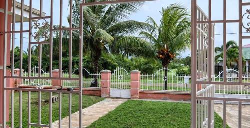 夏日风情, Paramaribo (foto 7)