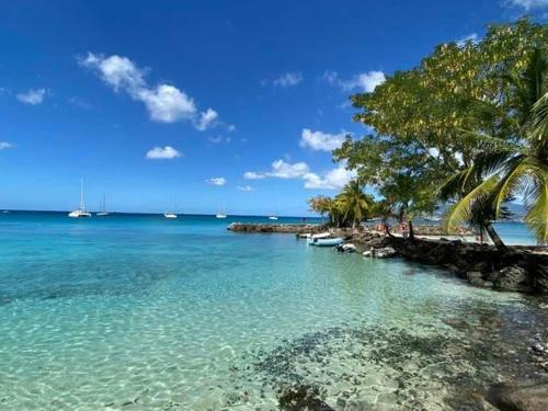 Appartement F3 à la Marina Pointe-du-Bout Martinique - FR-1-765-33 - image 5