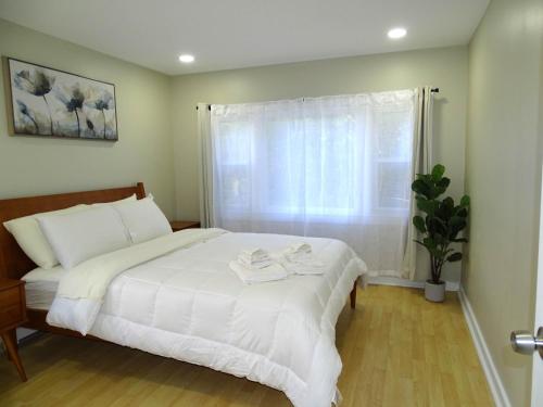 Comfortable Renovated 3 Bed Apartment in Framingham (Massachusetts)
