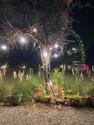 CENTRE POINT JAWAI RESORt in Falna