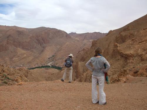 棕榈树宾馆 棕榈树宾馆