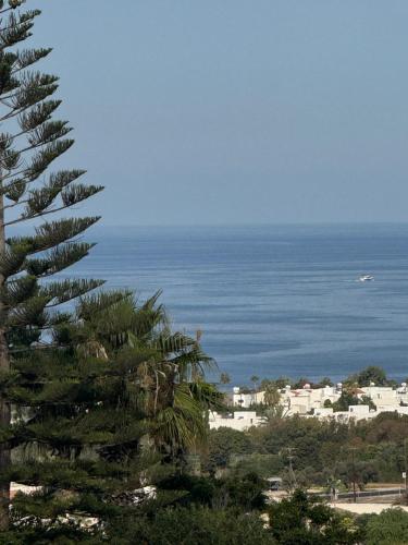 Arting Sea-A Dog friendly house