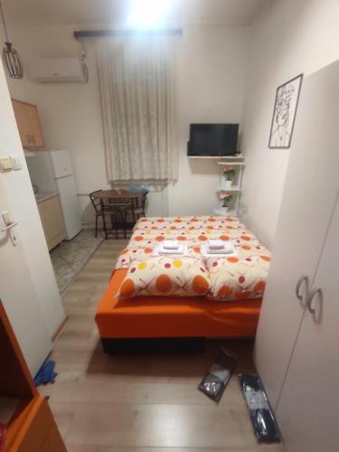 Centar Apartman Trivanović tipa studio