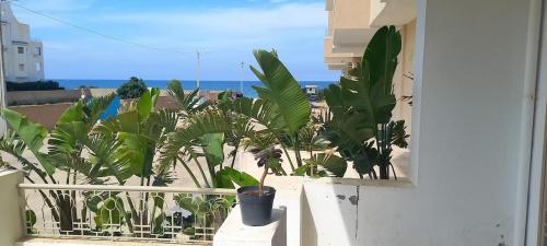 chott meriem avec terrasse sur la mer in Chatt Mariem