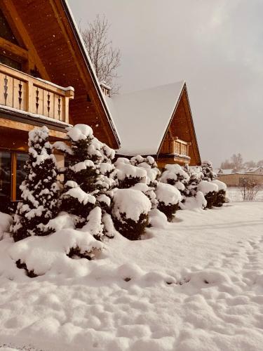 Przystanek Zakopane, Zakopane