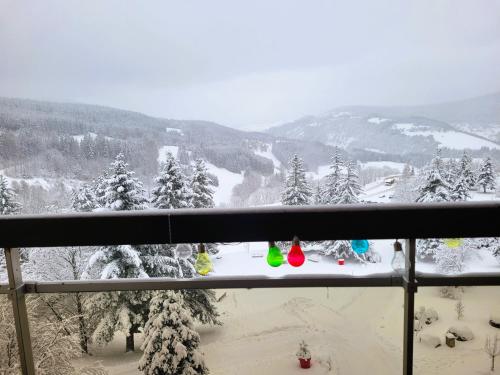 STUDIO plein sud "Les Arolles" Balcon de VILLARD DE LANS - Location saisonnière - Villard-de-Lans