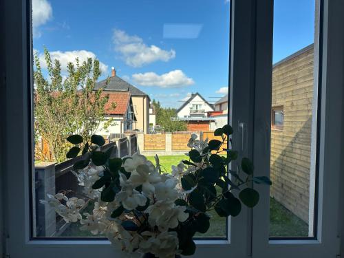 Aussicht, Apartments 31 in Svitavy