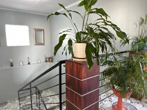 エントランス, Velvet Oasis Mbabane in ムババーネ