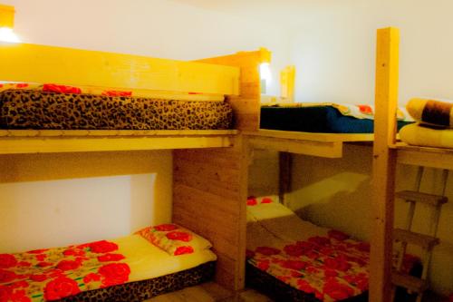 Old Style by the sea, roof terrace with pool and kitchen, Ladispoli, Ladispoli (Foto 8)
