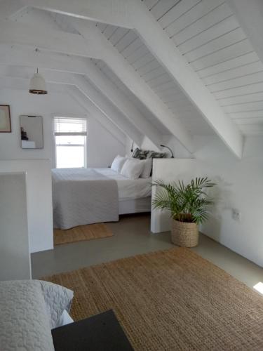 Spacious loft