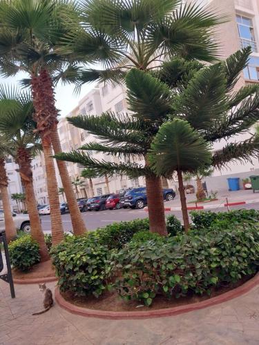 apartment for rent in El Khyam 2