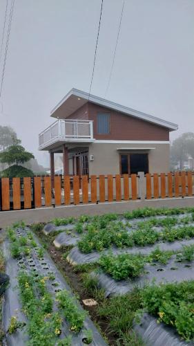 Vilalea Ciremai in Argapura