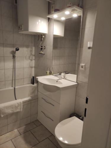 Ferien - und Messewohnung am Stadtpark, Norimberk (fotografie 2)