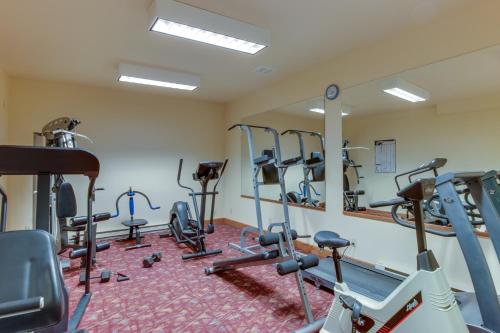 Park Perch - image 10