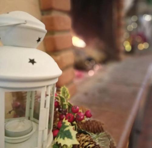 Affittacamere il 44 Parallelo Pistoia in Pistoia