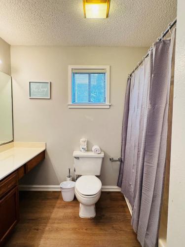 Bay Tree great 1BR apartment - image 5