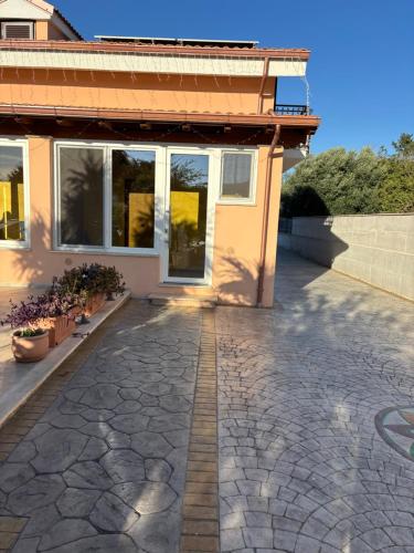 Tra gli ulivi in San Cesareo