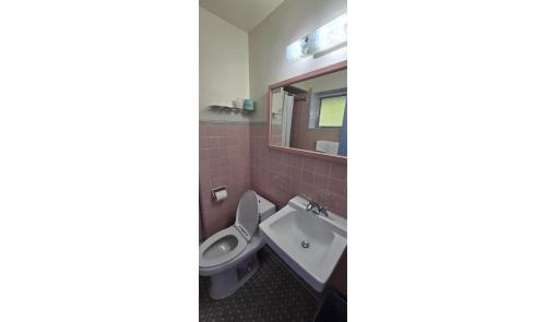 Heidelberg Motel by Capital O Bridgeport Frankenmuth MI Dixie HWY - 화장실