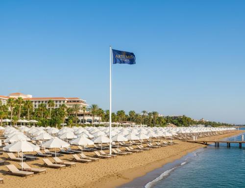 Artemis Luxury Palace Hotel, Antalya (photo 10)